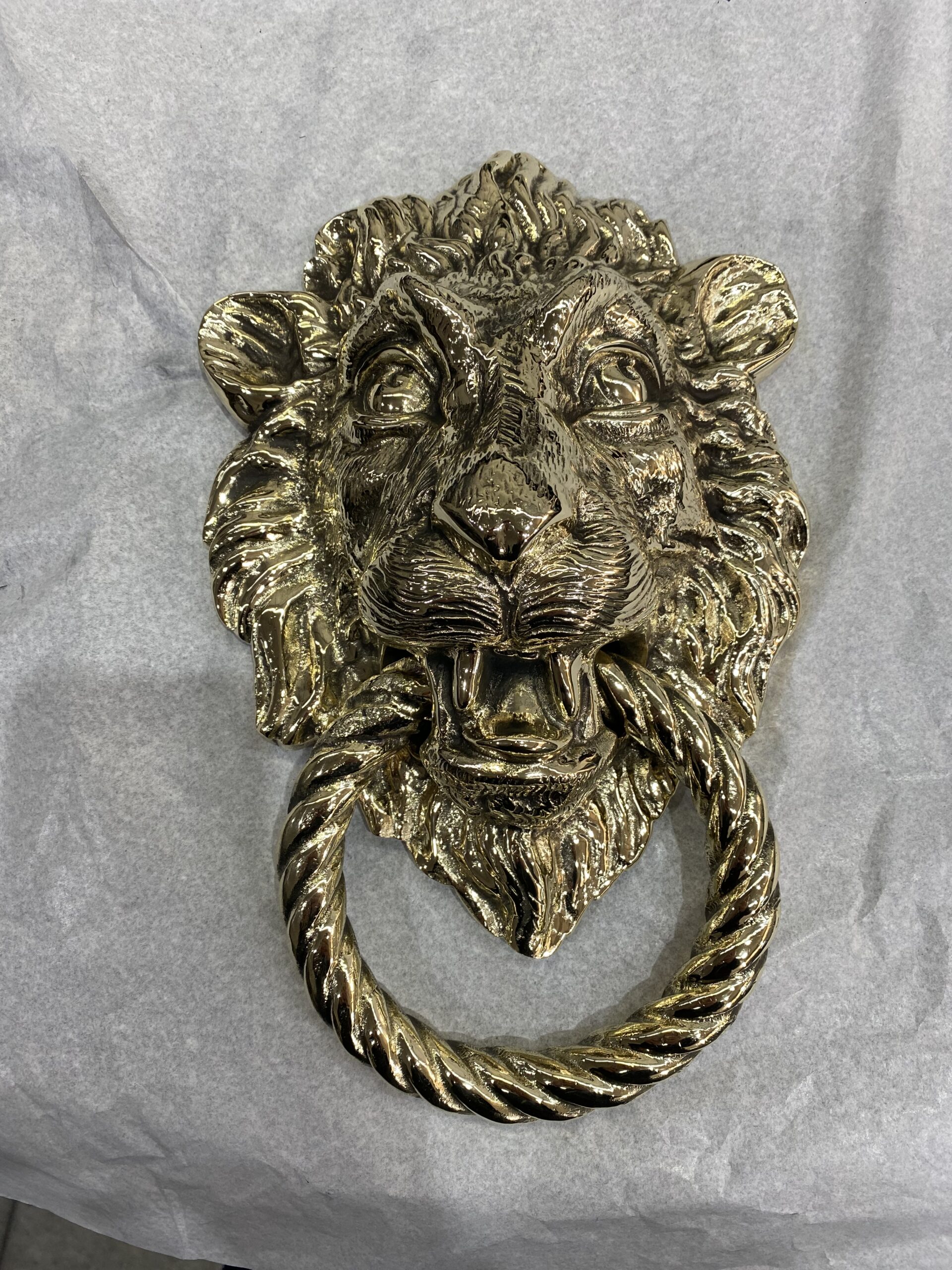 Leone ornamentale Leone ornamentale